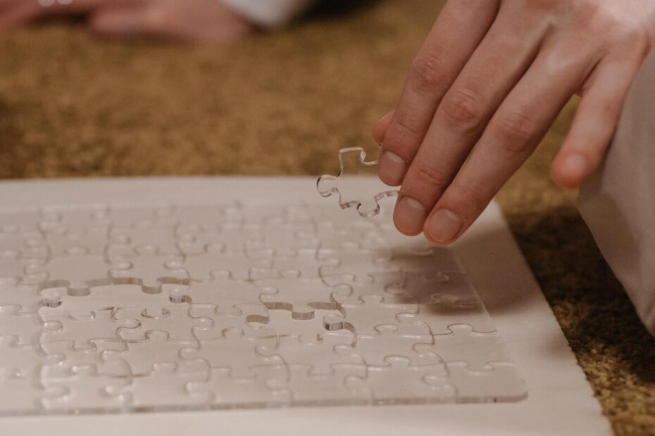 Confidence Jigsaw CathChan